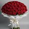Букет 101 Красная роза Блэк Мэджик в Строкино