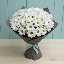 Букет цветов из:  Хризантемы в Строкино
