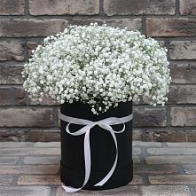 Цветочная композиция из Гипсофила в шляпной коробке в Строкино